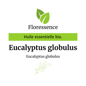 Huile essentielle Eucalyptus Globulus BIO – Floressence