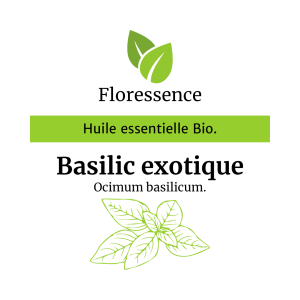 Huile essentielle Basilic Exotique BIO – Floressence