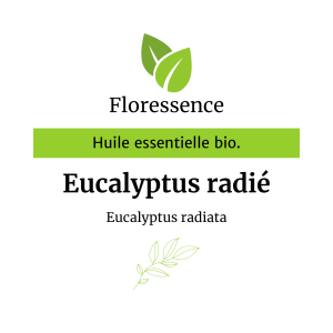 Huile essentielle Eucalyptus radié Bio – Floressence