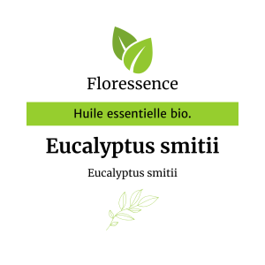 Huile essentielle Eucalyptus Smithii Bio – Floressence