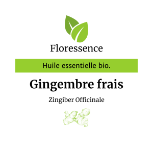 Huile essentielle Gingembre frais Bio – Floressence