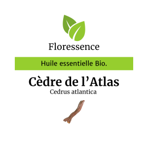 Huile essentielle Cèdre de l’Atlas BIO – Floressence