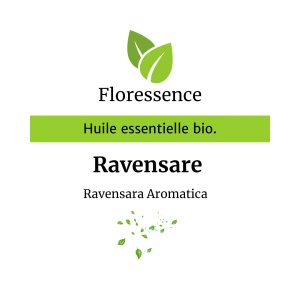 Huile essentielle Ravensare aromatique  / Agatophyle BIO – Floressence