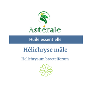 Huile essentielle Hélichryse mâle- Astérale