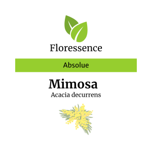 Mimosa Abs. en solution alcool – Floressence
