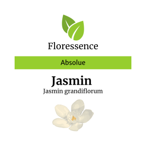Jasmin Grandiflorum Abs. – Floressence