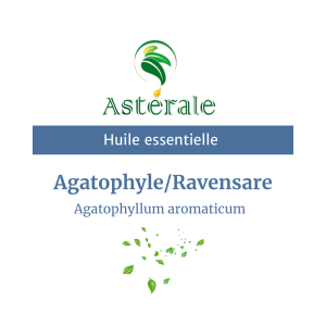 Huile essentielle Agatophyle / Ravensare aromatique – Astérale