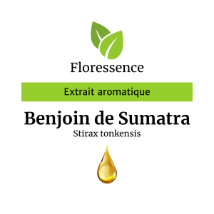 Benjoin de Sumatra résinoïde 50% – Floressence