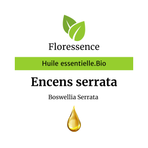 Huile essentielle Encens ou Oliban Serrata Bio- Floressence