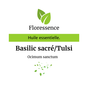 Huile essentielle Basilic Sacré / Tulsi – Floressence