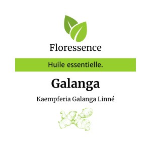 Huile essentielle Galanga – Floressence