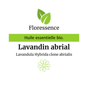 Huile essentielle Lavandin Abrial Bio – Floressence