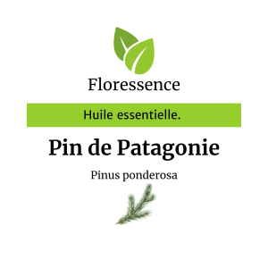 Huile essentielle Pin de Patagonie – Floressence