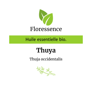 Huile essentielle Thuya BIO – Floressence