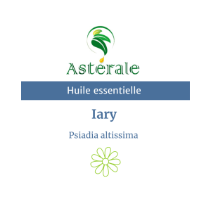 Huile essentielle Iary – Astérale