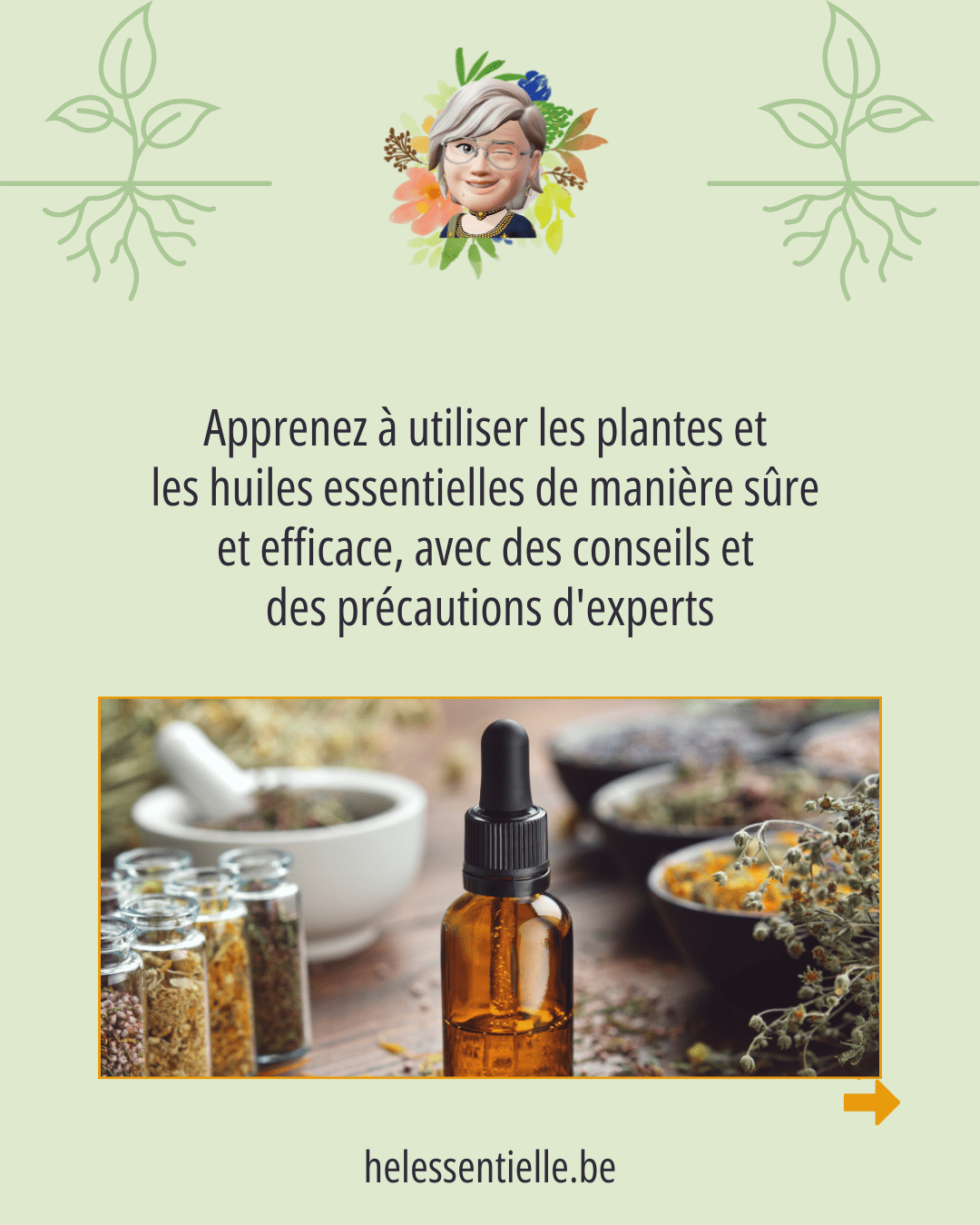 Atelier: Découvrez la puissance des Plantes – Image 5