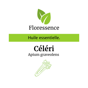 Huile essentielle Céleri – Floressence