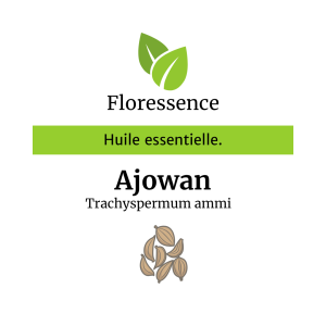Huile essentielle Ajowan – Floressence