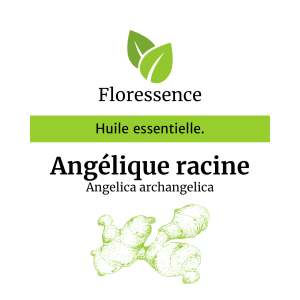 Huile essentielle Angélique racine – Floressence