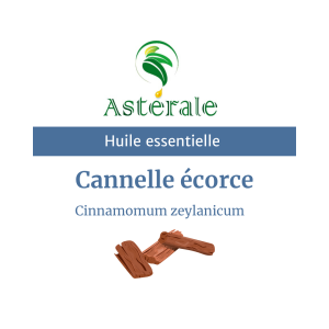 Huile essentielle Cannelle écorce – Astérale