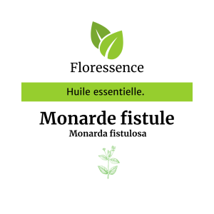 Huile essentielle Monarde fistule – Floressence