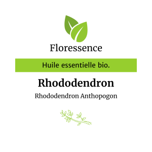 Huile essentielle Rhododendron Bio- Floressence