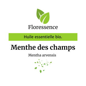 Huile essentielle Menthe des champs Bio- Floressence