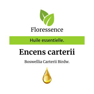 Huile essentielle Encens ou Oliban carterii- Floressence
