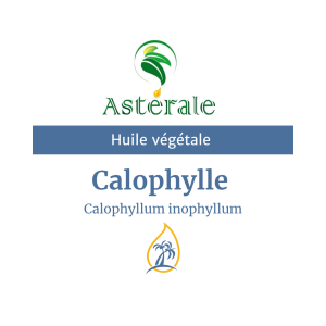 Huile végétale Calophylle – Astérale
