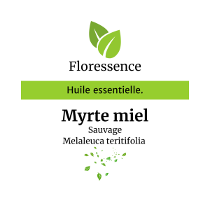 Huile essentielle Myrte miel sauvage – Floressence