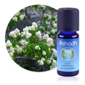 Huile essentielle Amyris (Santal Amyris) – Oshadhi