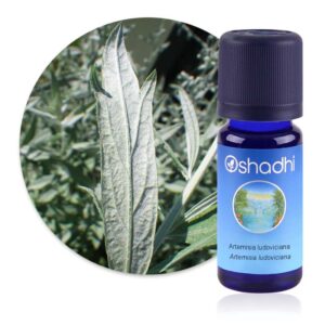 Huile essentielle Artemisia ludoviciana – Oshadhi