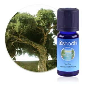 Huile essentielle Tea Tree – Oshadhi
