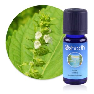 Huile essentielle Perilla (shiso) – Oshadhi