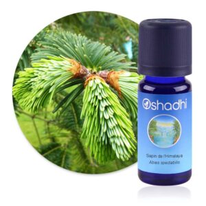 Huile essentielle Sapin de l’Himalaya – Oshadhi