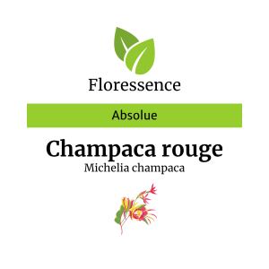 Champaca rouge Abs. – Floressence
