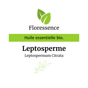 Huile essentielle Leptosperme / Tea Tree citronné Bio- Floressence