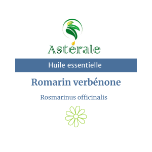 Huile essentielle Romarin verbénone – Astérale