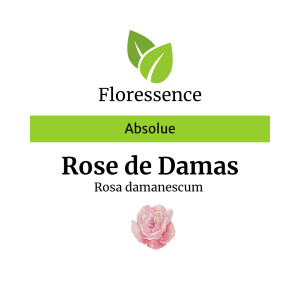 Absolue Rose de Damas – Floressence