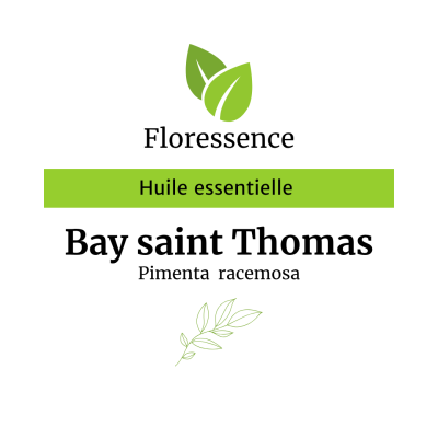 Huile essentielle Bay Saint Thomas - Floressence