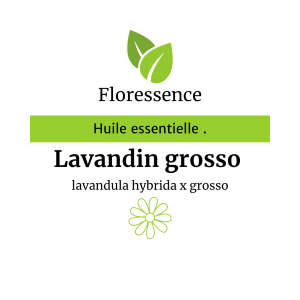 Huile essentielle Lavandin Grosso – Floressence