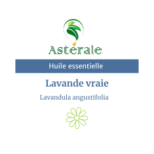 Huile essentielle Lavande vraie – Astérale