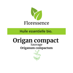 Huile essentielle Origan compact sauvage Bio – Floressence