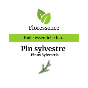 Huile essentielle Pin Sylvestre Bio – Floressence