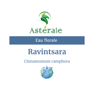 Eau florale Ravintsara – Astérale