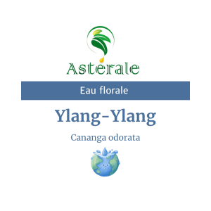 Eau florale Ylang-Ylang – Astérale