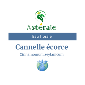Eau florale Cannelle Ecorce – Astérale