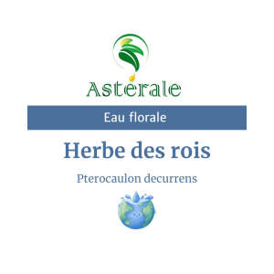 Eau florale Herbe des Rois – Astérale
