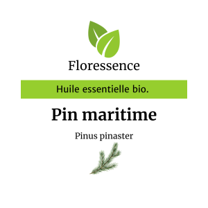 Huile essentielle Pin Maritime Térébenthine Bio – Floressence