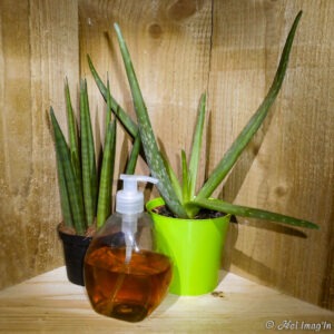 PoussPouss après jardin